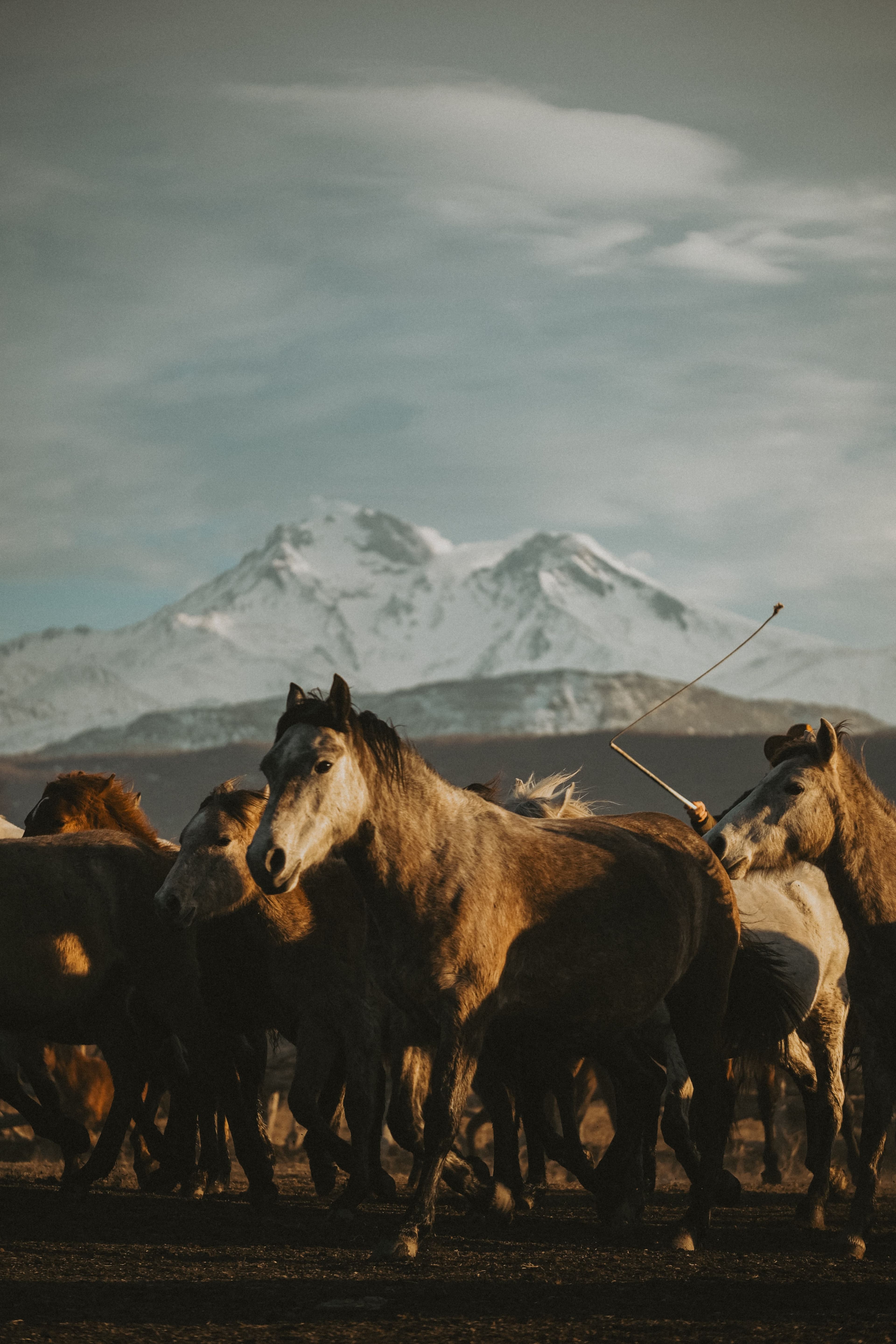 Expedición de Los Andes: El camino del Libertador