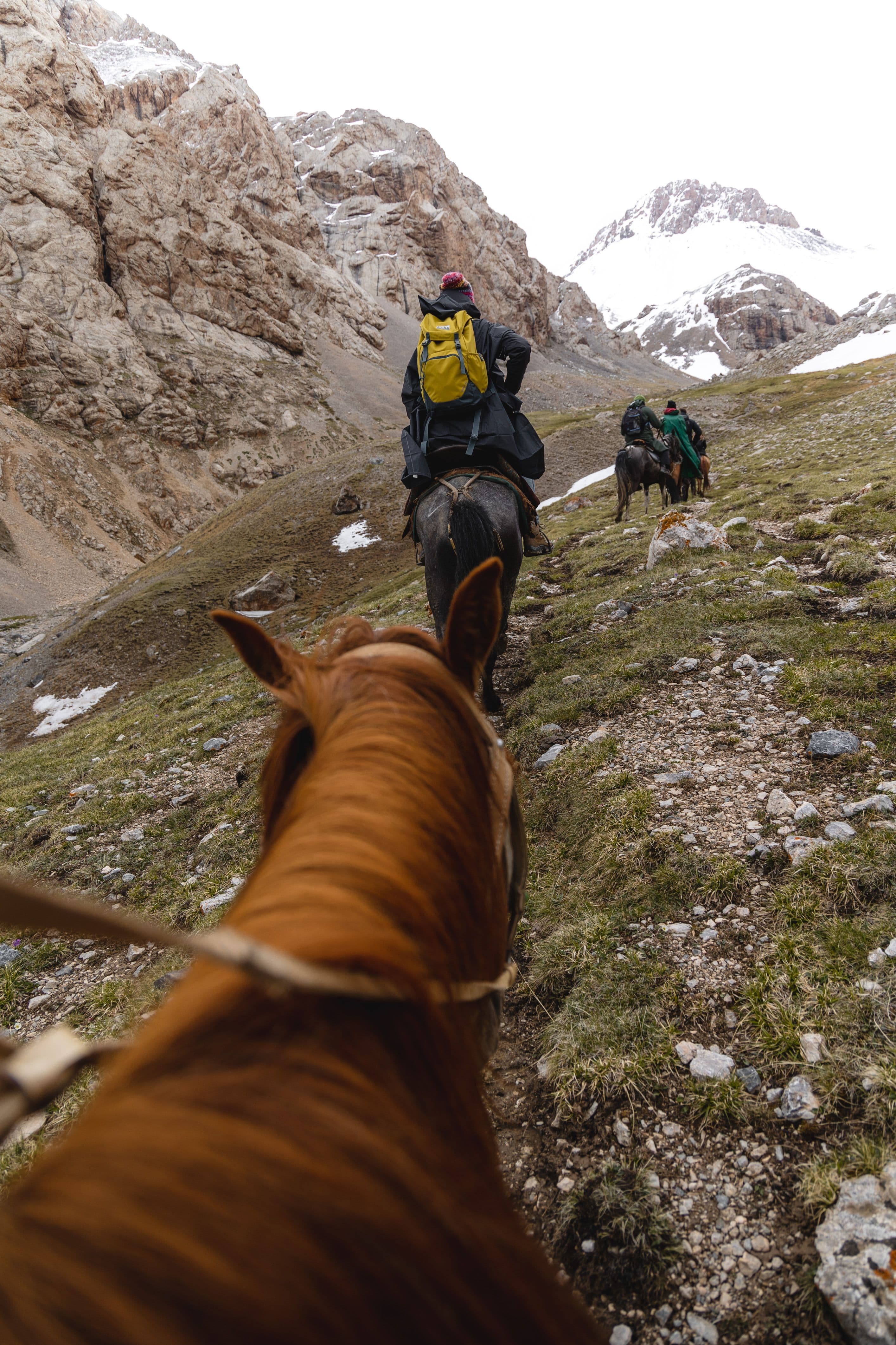 Expedición de Los Andes: El camino del Libertador — foto 2